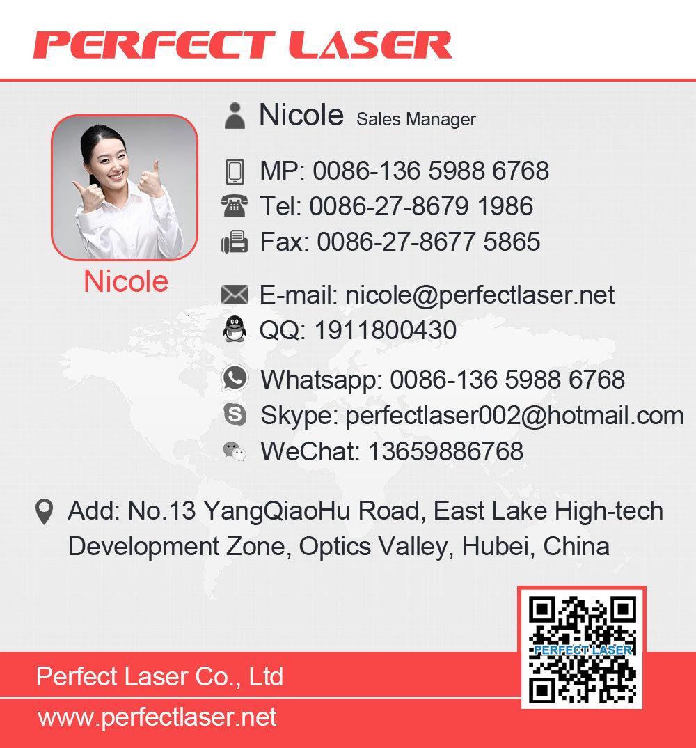 Perfect Laser-20W 30W 50 Watts Portable/Handheld Mini Desktop Small Metal Stainless Steel Ipg/Mopa/Raycus/Max/Jpt Fiber Laser Marker Engraving Marking Machine