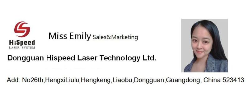 20W 30W 50W Portable Metal Fiber Laser Marking Machine Laser Logo Engraving From Dongguan