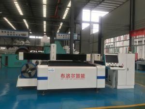 Famous China Brand Fiber Laser Cutting Machine for 6mm 8mm Steel and Other Metal Materials