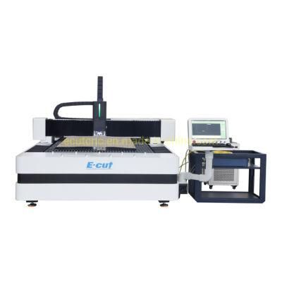 with Laser Raycus Wsx Head Metal CNC Engraving Machine