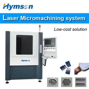 China High-End Fiber Laser Micromachining Microcut System for Processing