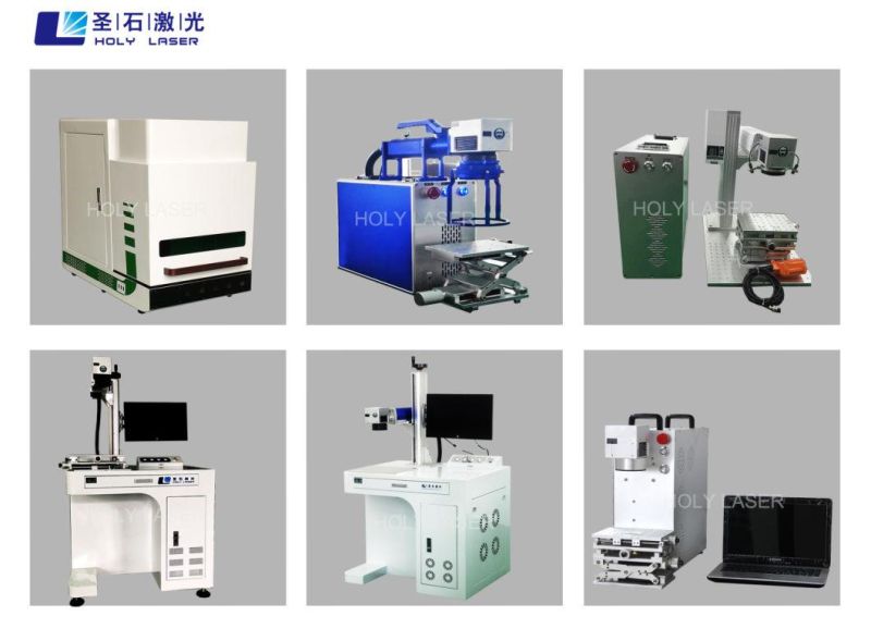 Holylaser Fiber Laser Marking Machine Hsgq-50W 100W