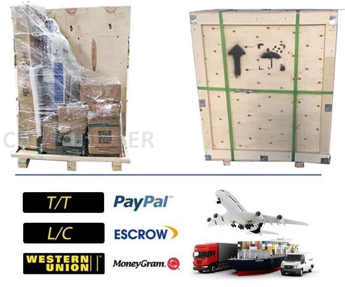 30W Flying CO2 Laser Marking Machine for Wood Paper Leather