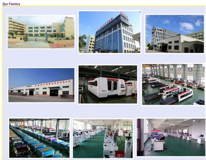 CNC Fiber Laser Cutting Machine for Metal Processing Under 10mm