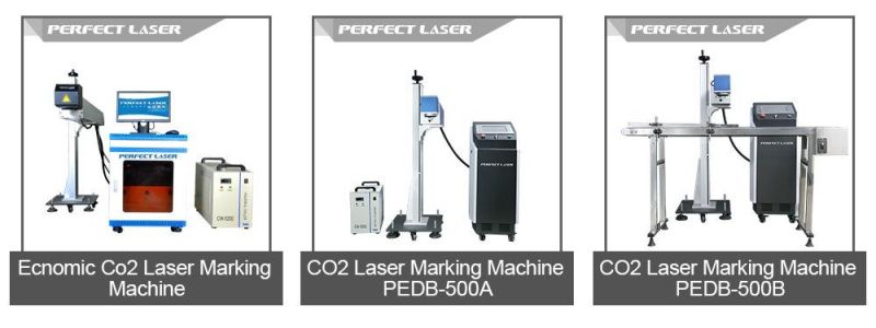 Perfect Laser CO2 Laser Marking Machine for Plastic Bottles